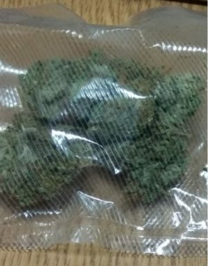 torebka foliowa z marihuaną
