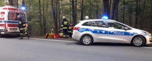 radiowóz, karetka, strażacy na miejscu wypadku