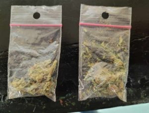 torebki z zawartością marihuany