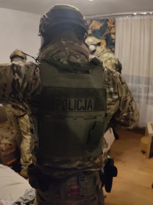 policjanci podczas zatrzymania