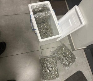 Paczka z Hiszpanii – 2 osoby trafiły do aresztu